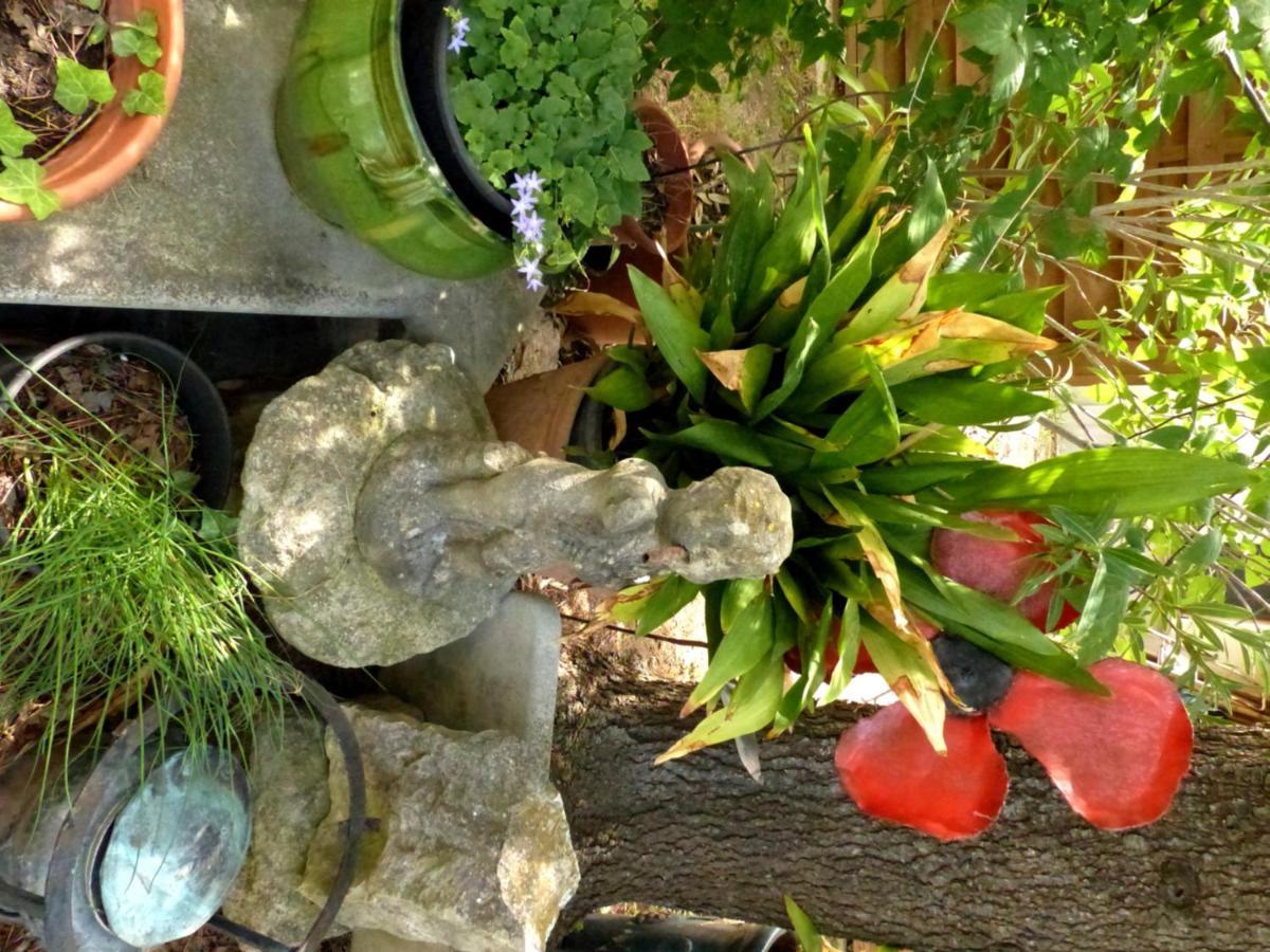 Hébergement de vacances Maison En Provence Avec Jardin Ombragée Et Piscine *