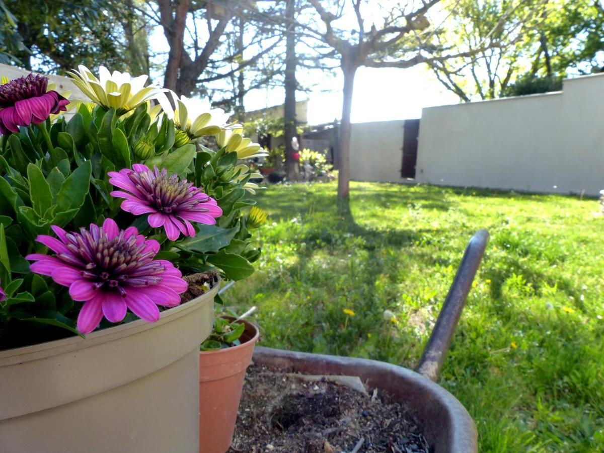 Maison En Provence Avec Jardin Ombragée Et Piscine Hébergement de vacances LʼIsle-sur-la-Sorgue
