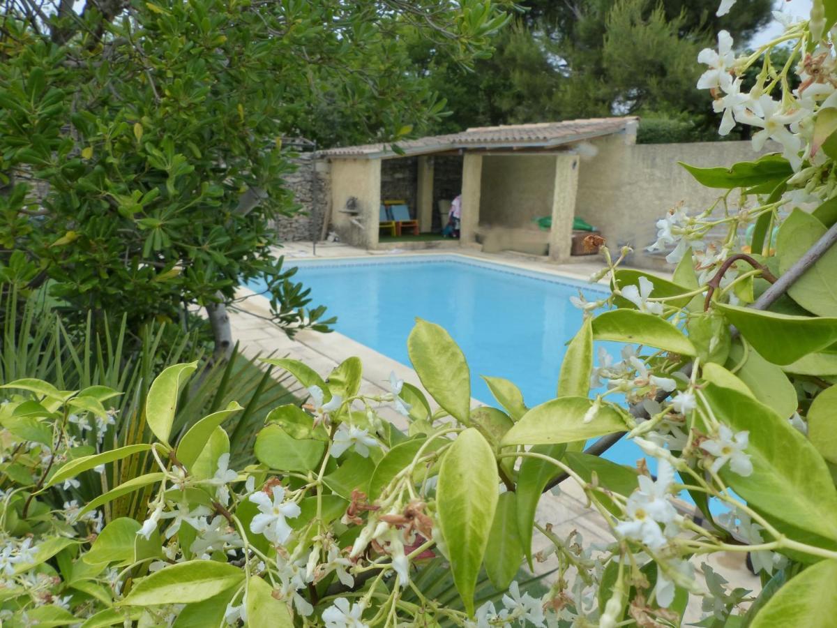 Hébergement de vacances Maison En Provence Avec Jardin Ombragée Et Piscine LʼIsle-sur-la-Sorgue